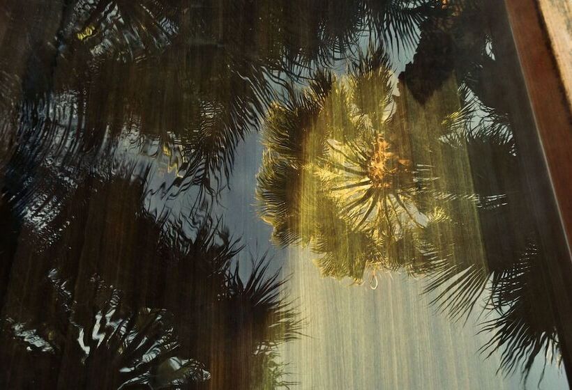 Two Bunch Palms Spa Resort Adults Only