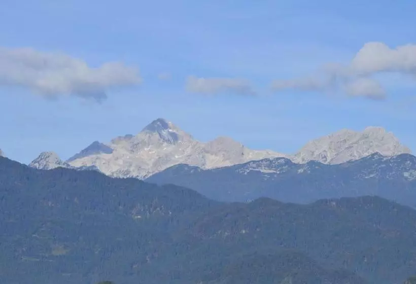 ホテル Grajski Dvor