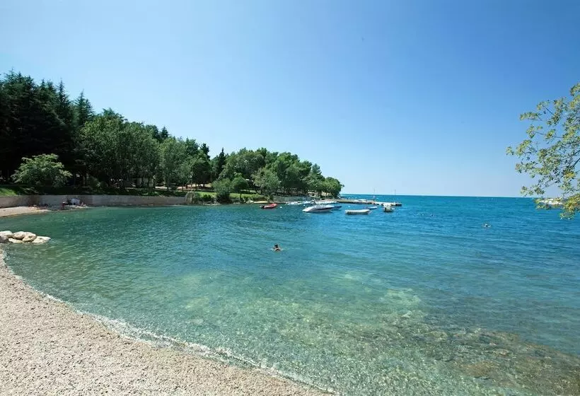 Отель Mediteran Plava Laguna