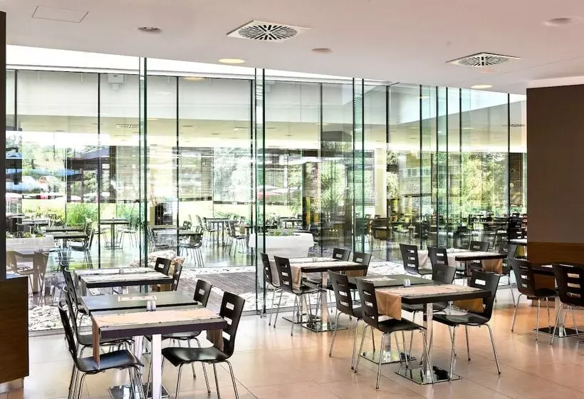 Отель Mediteran Plava Laguna