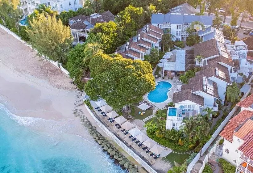 Treasure Beach By Elegant Hotels All Inclusive, Adults Only