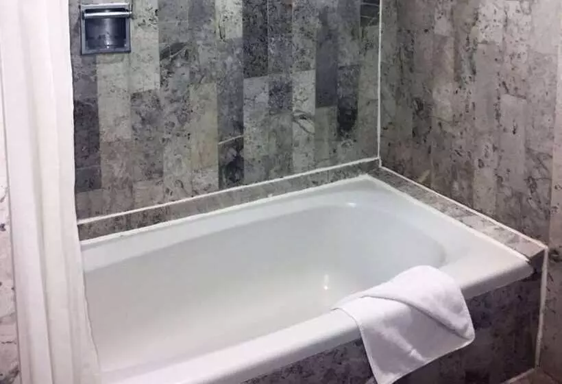 Отель El Conquistador Del Paseo De Montejo