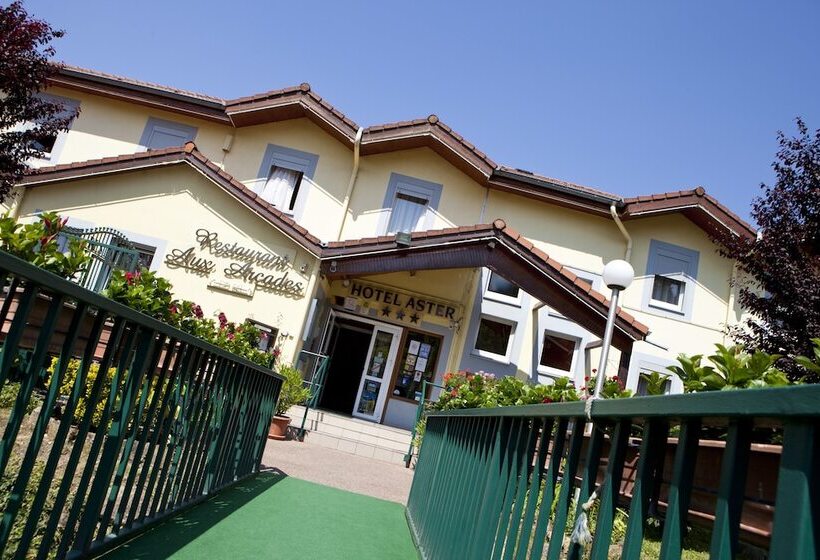 فندق Hôtel Aster Restaurant Aux Arcades