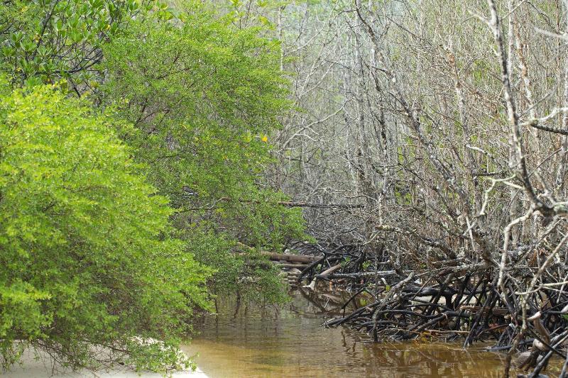 Szálloda Sheraton Lampung