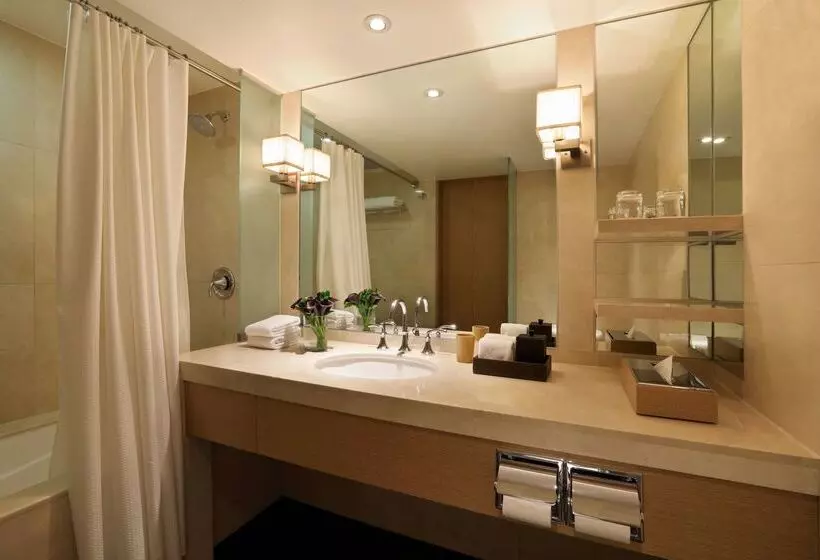 Отель Hyatt Regency Mexico City