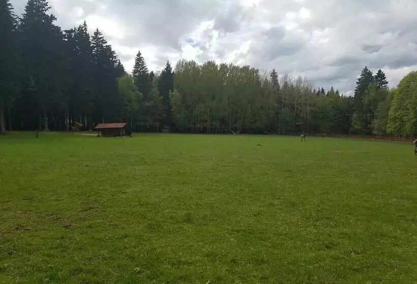 Szálloda Pension Villa Berolina