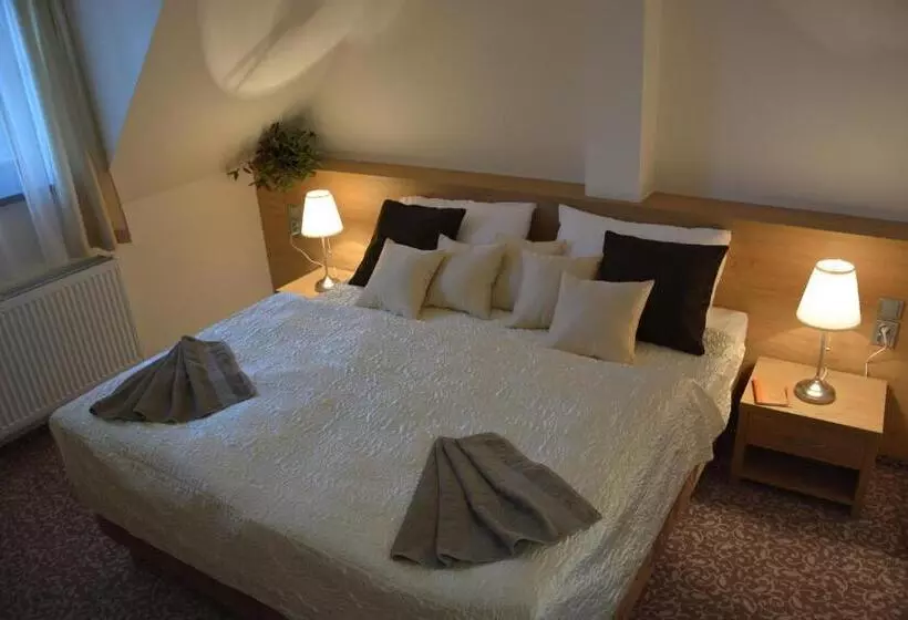 酒店 Zámek Velká Bystřice