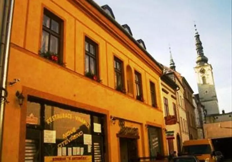 펜션 Penzion U Antonicka