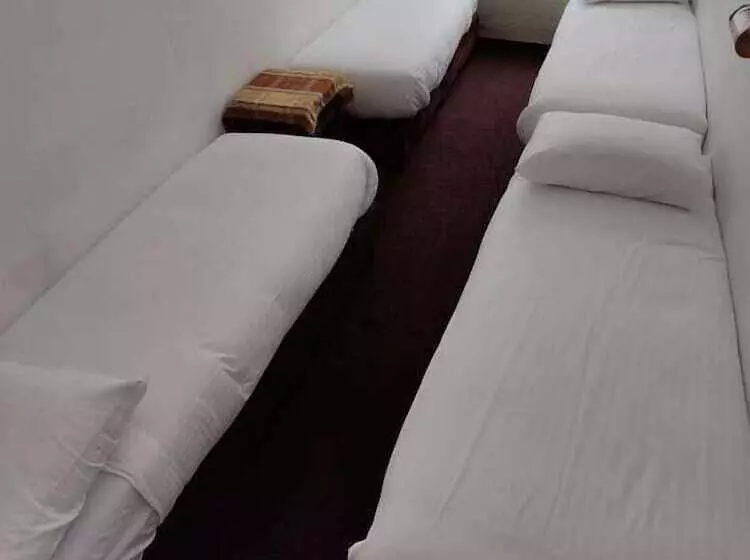 Отель Ben Centre