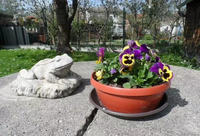 פנסיון Penzion Kapitan