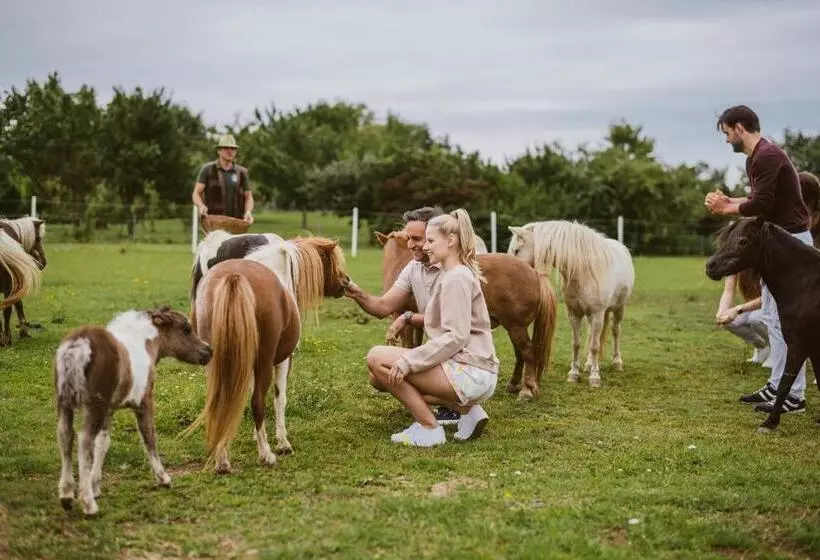 Adults Only Hotel Reiters Supreme