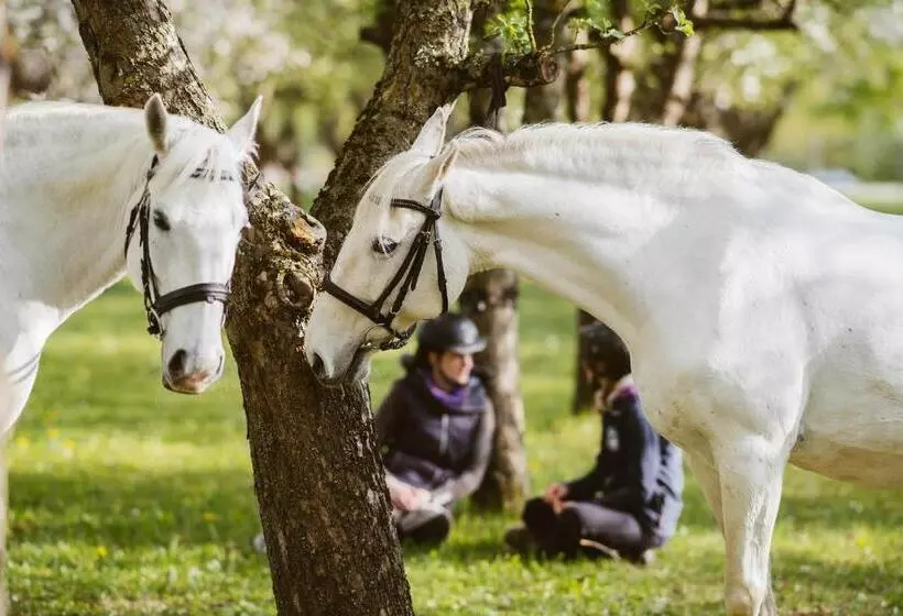 Adults Only Hotel Reiters Supreme