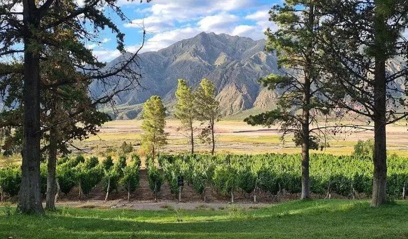 בית מלון כפרי Ariosto