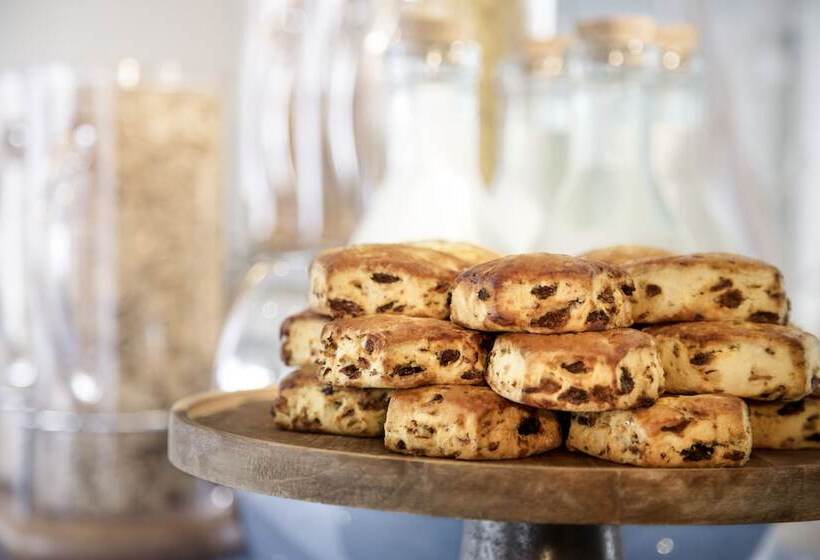 Novotel Belfort Centre Atria