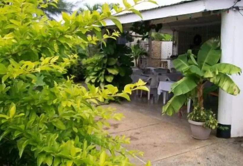 Golden Thistle Hotel