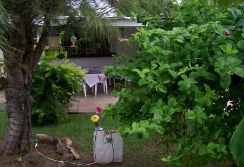 Golden Thistle Hotel