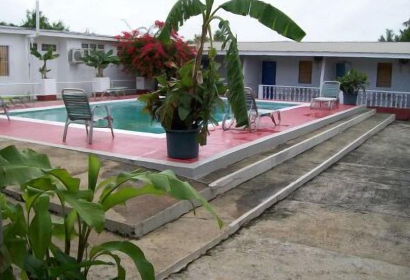 Golden Thistle Hotel