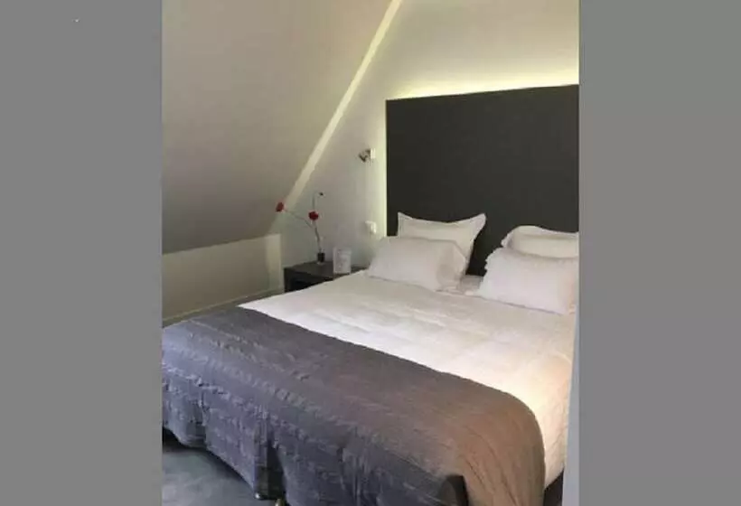 בית מלון כפרי Le Relais De Moussidière