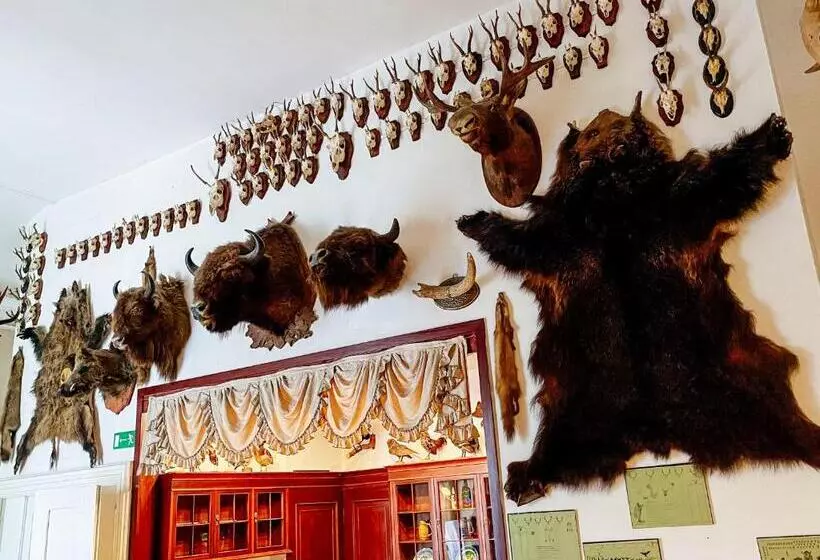 فندق Zamek Królewski W Rydzynie