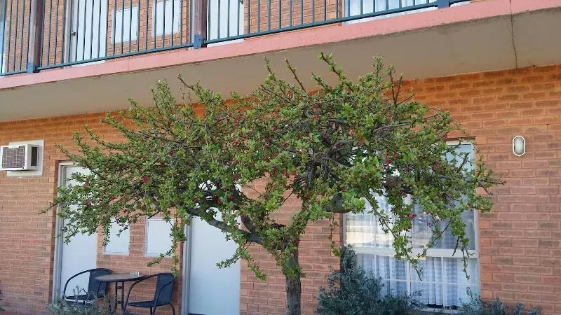 酒店 Bridge Motor Inn Tocumwal