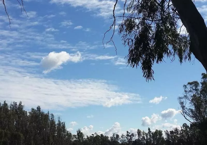 酒店 Bridge Motor Inn Tocumwal