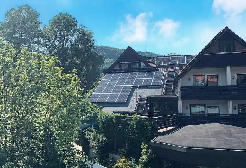 酒店 Kainsbacher Muhle