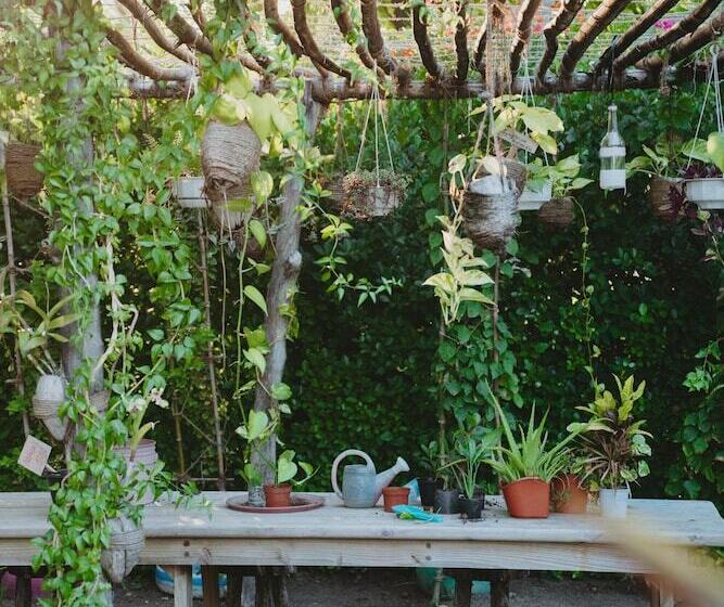 Villa Park Sun Island Resort