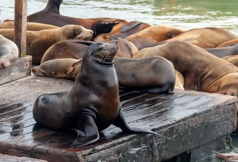 Touchstone Hotel   City Center