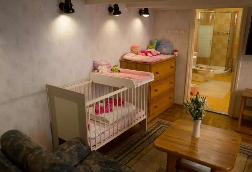 هتل Centrum Panzió