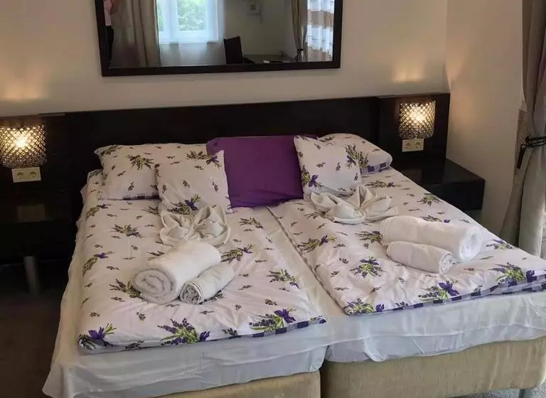 هتل Centrum Panzió