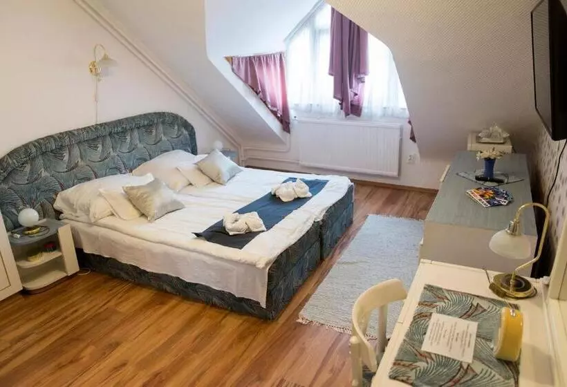 هتل Centrum Panzió