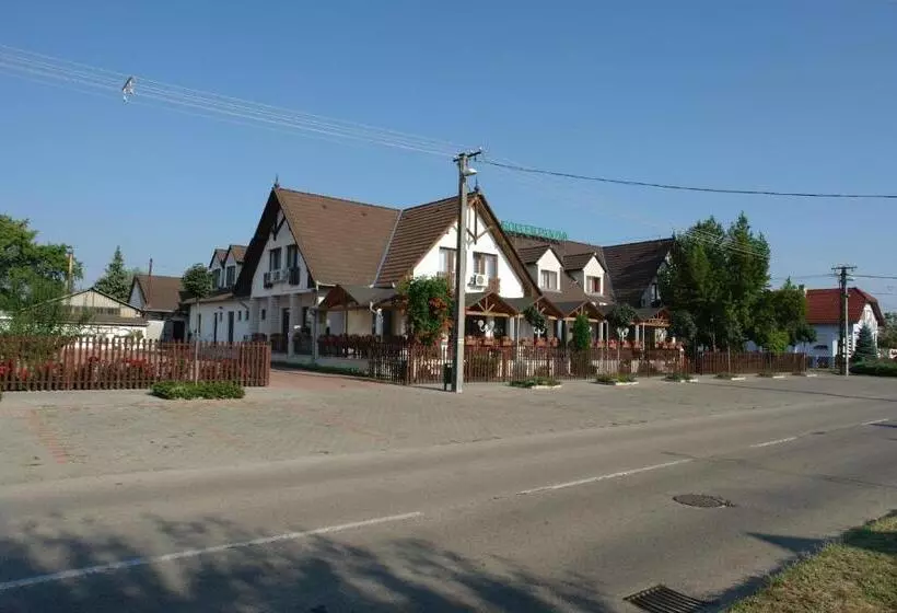 Отель Koller Panzió