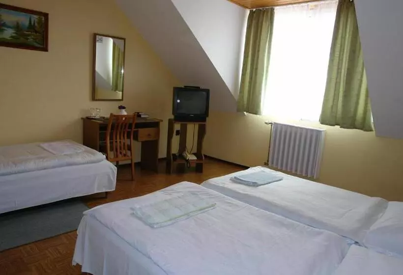 Отель Koller Panzió