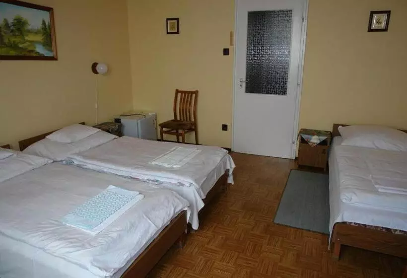 Отель Koller Panzió