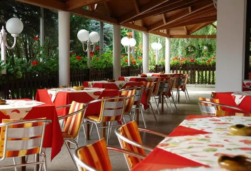 Отель Koller Panzió