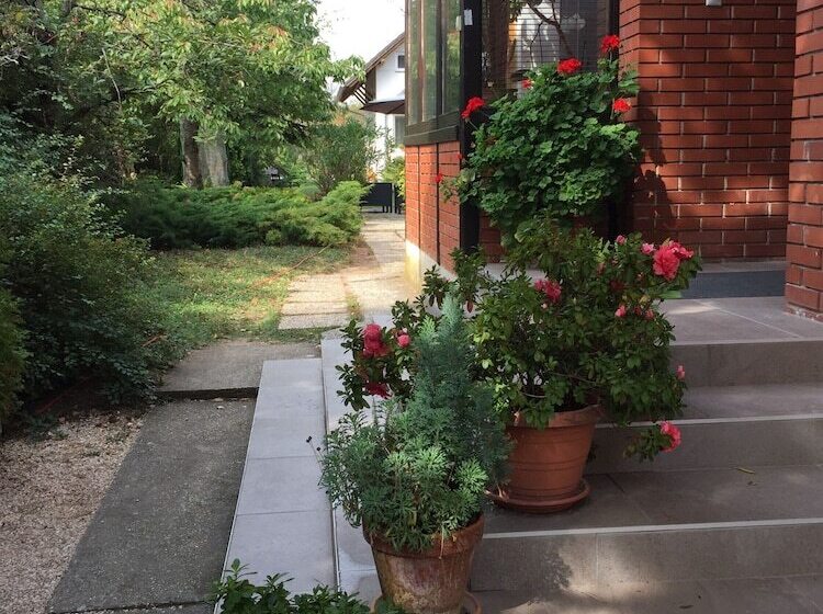 فندق Margaréta Panzió