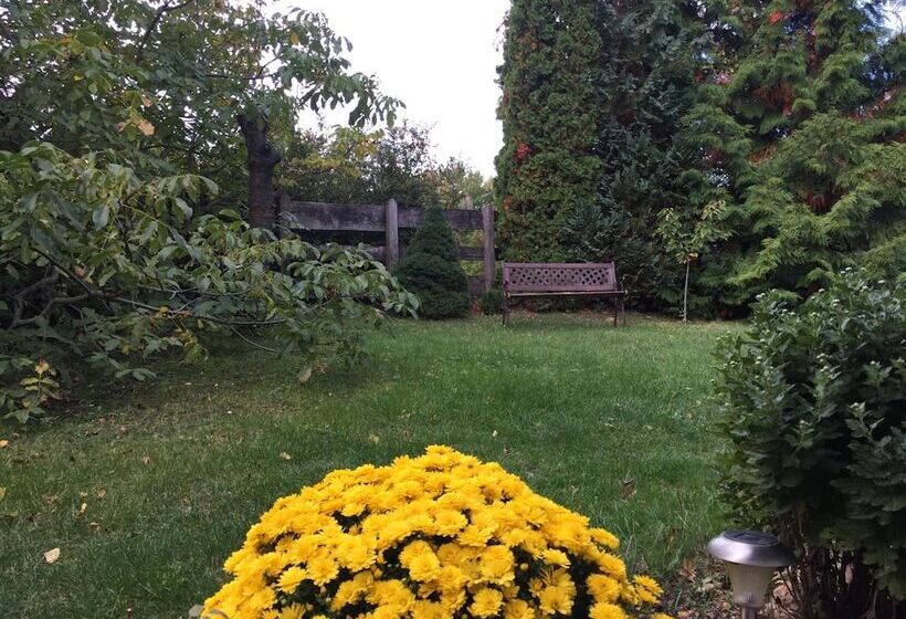 فندق Margaréta Panzió