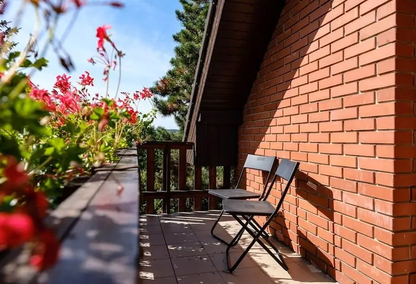 호텔 Margaréta Panzió