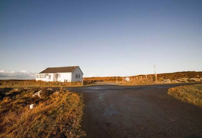 Отель Orasay Inn