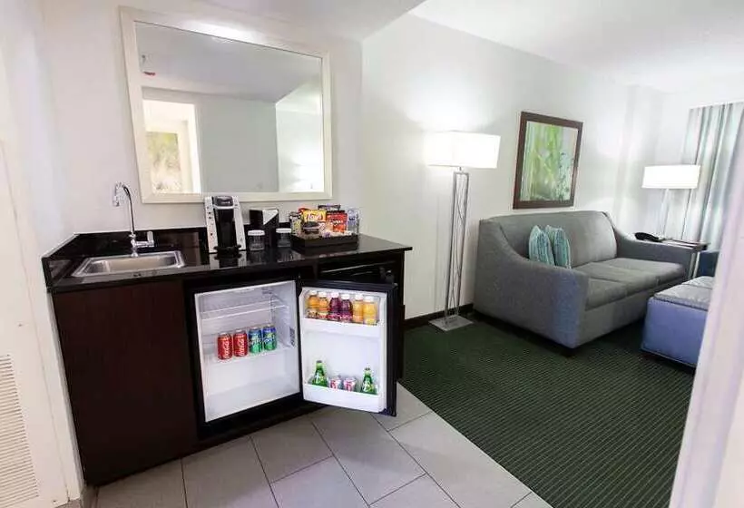 Embassy Suites By Hilton Orlando Lake Buena Vista Resort