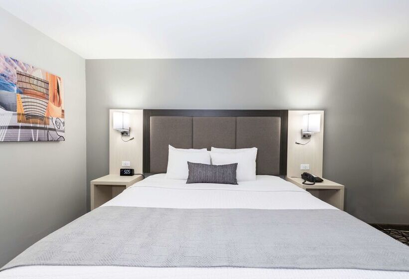 فندق Best Western Morton Inn