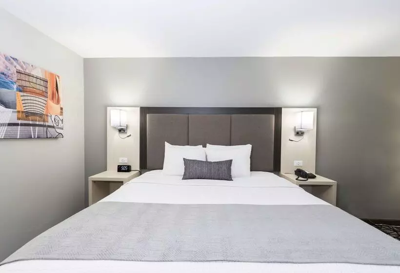 호텔 Best Western Morton Inn