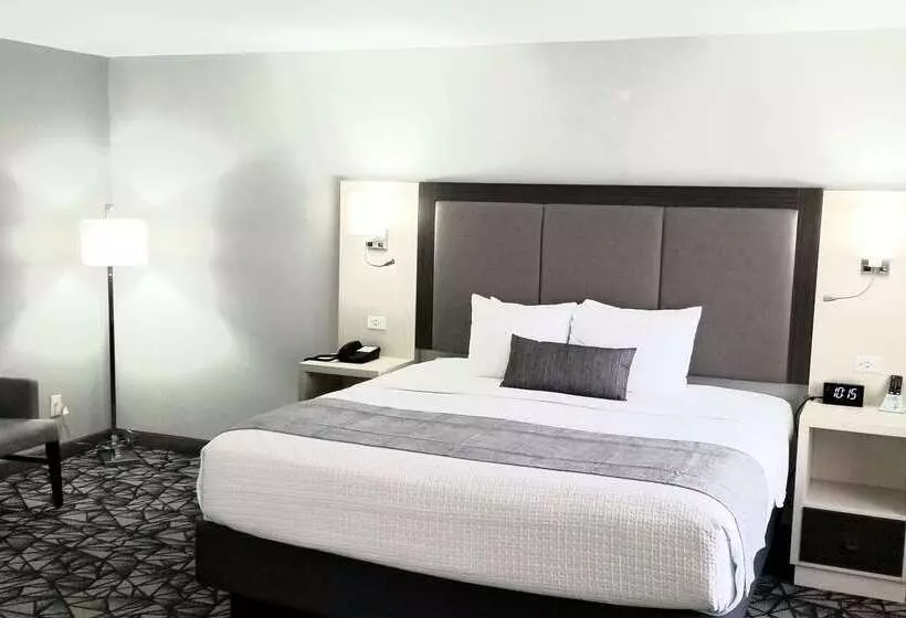 호텔 Best Western Morton Inn