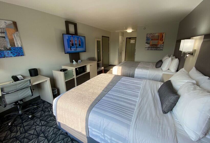 فندق Best Western Morton Inn