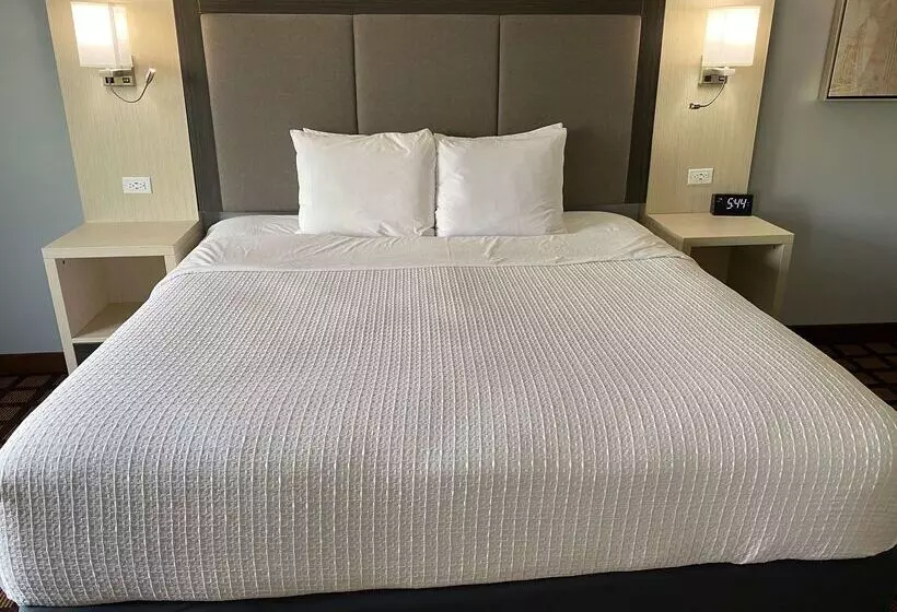 호텔 Best Western Morton Inn