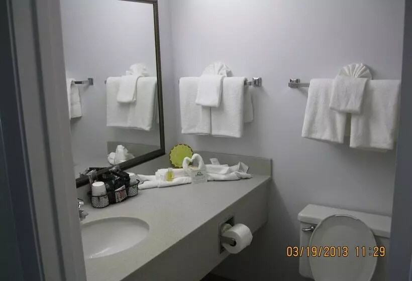 בית מלון כפרי Days Inn By Wyndham Daytona Oceanfront