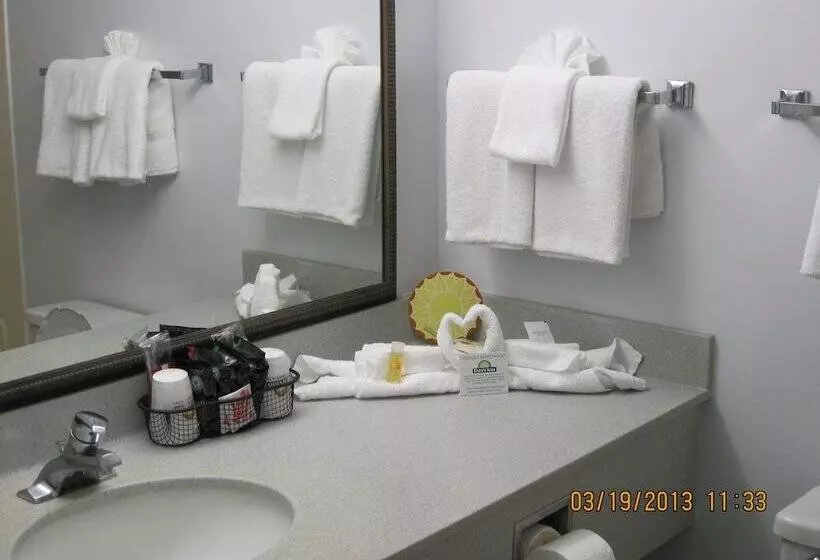 בית מלון כפרי Days Inn By Wyndham Daytona Oceanfront