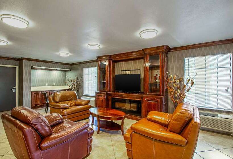 בית מלון כפרי Super 8 By Wyndham Jackson Ms