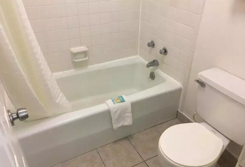 Otel Liberty Inn   Collins