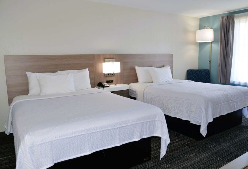 فندق على الطريق Americas Best Value Inn & Suites Foley